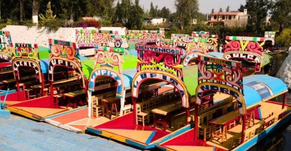 Mexico City: Coyoacán and Xochimilco - Important Guidelines