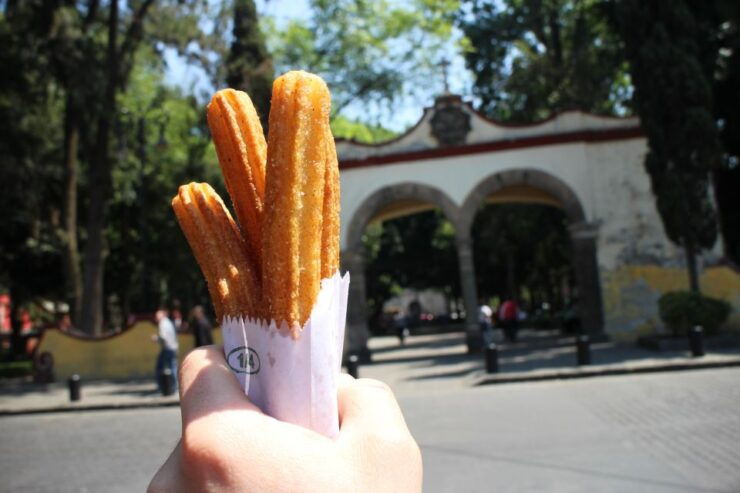 Mexico City: Coyoacan Biking Tour With Frida Kahlo Museum - Tour Overview