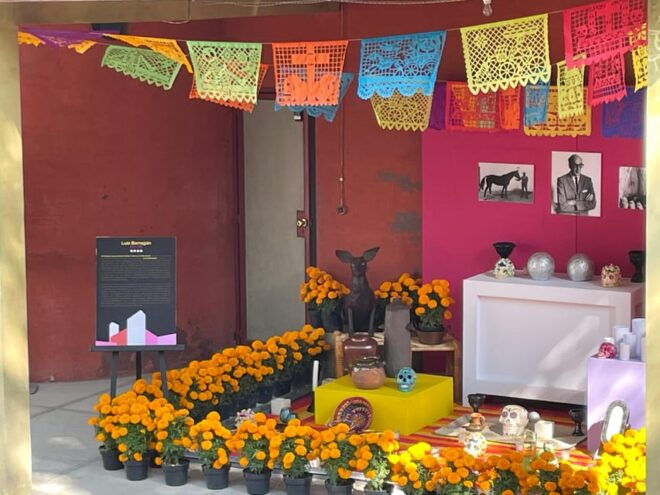 Mexico City: Day of the Dead Experience in San Angel - Cultural Significance of the Day of the Dead