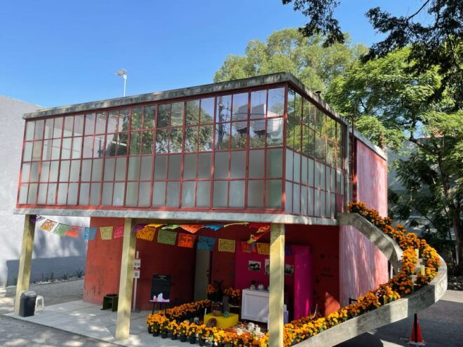 Mexico City: Day of the Dead Experience in San Angel - Meeting Point and Participant Details