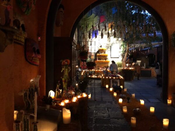 Mexico City: Day of the Dead Experience in San Angel - Exploring the Mercado Del Carmen