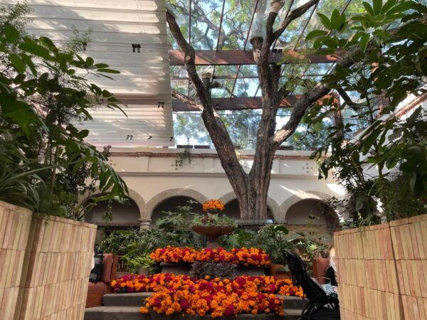 Mexico City: Day of the Dead Experience in San Angel - Honoring Loved Ones on the Altar