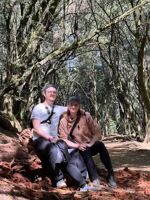 Mexico City: Desierto de los Leones Hike & Ex-Convent Tour - The Allure of Desierto de los Leones and the Ex-Convent