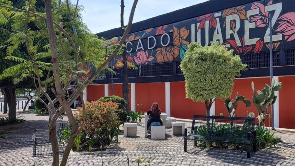Mexico City: Discover Mexican Produce That Impact the World - Nutritional Benefits