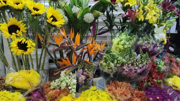 Mexico City: Discover Mexican Produce That Impact the World - Empowering Culinary Creativity