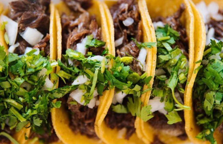 Mexico City: Exotic Food Tasting Tour & Local Markets - Inclusions and Booking Information