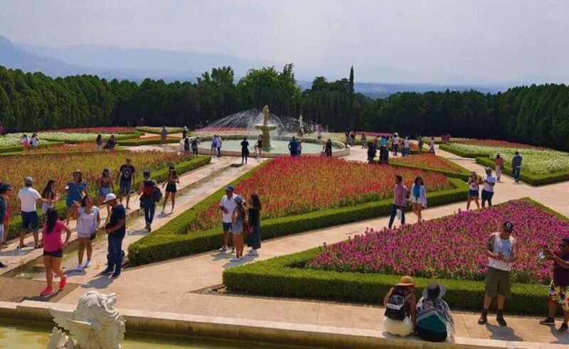 Mexico City: Explore Mexican Gardens and Tepoztlan Town - A Detailed Look at the Experience