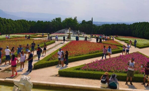 Mexico City: Explore Mexican Gardens and Tepoztlan Town - Contact Information