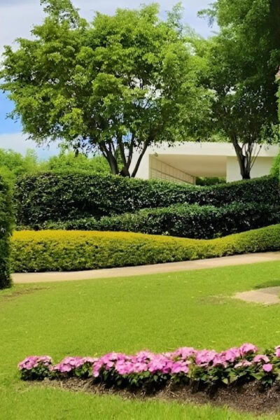 Mexico City: Explore Mexican Gardens and Tepoztlan Town - Customer Feedback