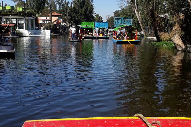 Mexico City Fast Discovery Tour With a Local Guide, Custom & Private - Reviews and Ratings From Previous Travelers