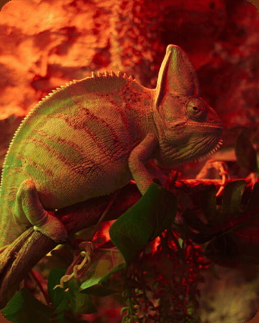 Mexico City: Fast Pass Ticket to Acuarium Inbursa - Good To Know