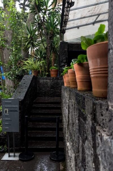 Mexico City: Frida Kahlo Museum Ticket With Digital Guide - Availability and Timing