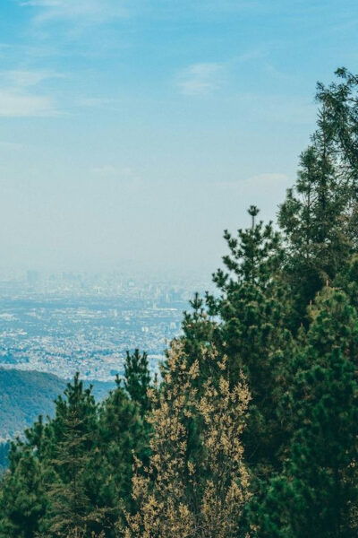 Mexico City Hike: Climb Its Highest Peak With a Local Guide - What to Bring