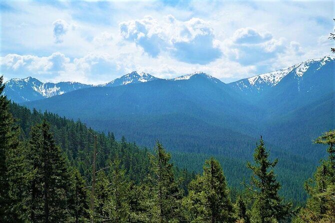 Mexico City Hike: Conquer the Ajusco National Park - Exploring Cumbres del Ajusco: The Heart of the Hike