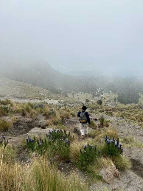 Mexico City: Hiking to la Malinche private day tour - Who Should Consider This Tour?