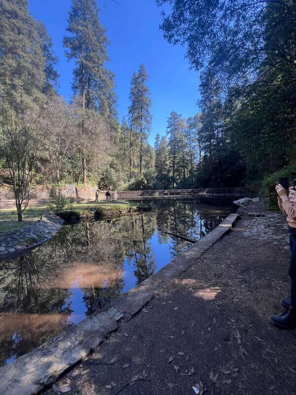 Mexico city: Hiking tour to Desierto de los leones - An Insightful Day in Desierto de los Leones