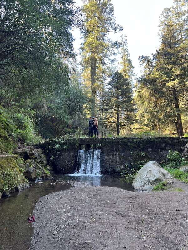 Mexico city: Hiking tour to Desierto de los leones - Practical Tips for a Smooth Experience