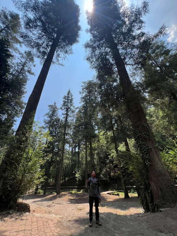 Mexico city: Hiking tour to Desierto de los leones - Authentic Insights from Travelers