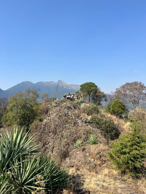 Mexico City Hiking Tour to the Extinct Volcano Xitle - Good To Know
