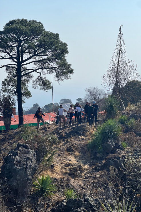 Mexico City Hiking Tour to the Extinct Volcano Xitle - Itinerary Details