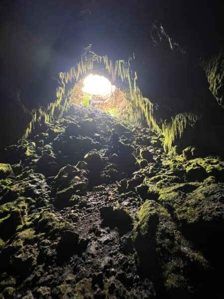 Mexico City Hiking Tour to the Extinct Volcano Xitle - Languages and Cancellation Policy