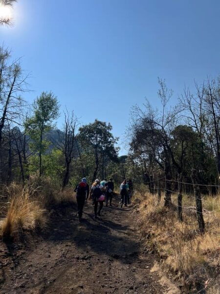 Mexico City Hiking Tour to the Extinct Volcano Xitle - Pickup and Transportation