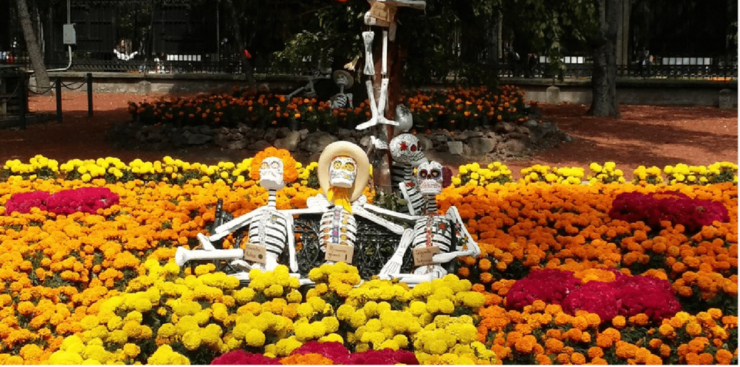 Mexico City: Hipster Taco Land Bike Tour - Experience Highlights