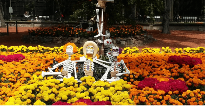 Mexico City: Hipster Taco Land Bike Tour - Tour Inclusions