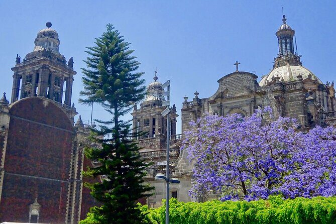 Mexico City History Tour with a Local Expert: 100% Personalized & Private - Detailed Review of the Mexico City History Tour