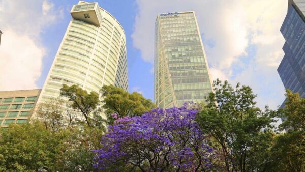 Mexico City: Hop-On Hop-Off City Tour With Attractions - Inclusions and Exclusions
