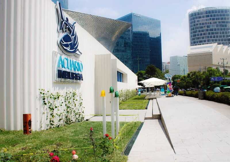 Mexico City: Inbursa Aquarium optional Round trip transfer - Who Is This Tour Best For?