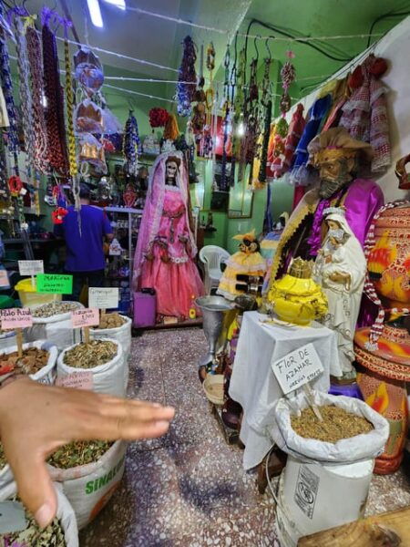 Mexico City: Market and Mezcal Tour - Market Exploration