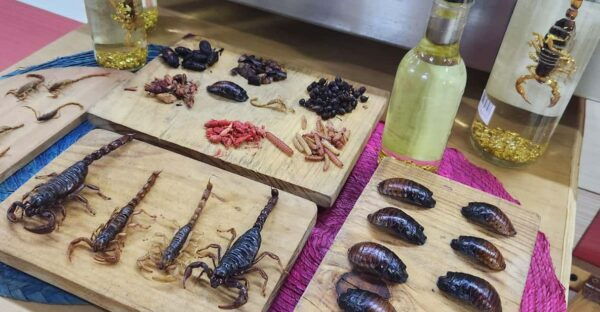 Mexico City: Market and Mezcal Tour - Frequently Asked Questions