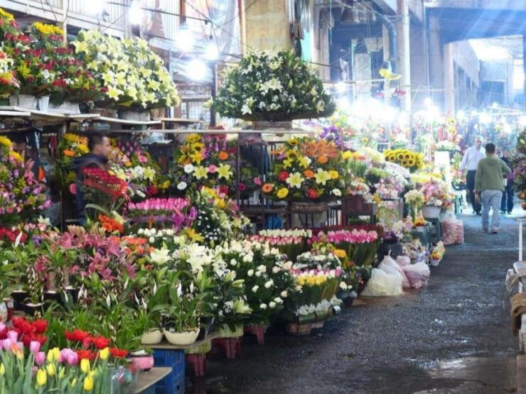 Mexico City Market Tour - Tour Overview