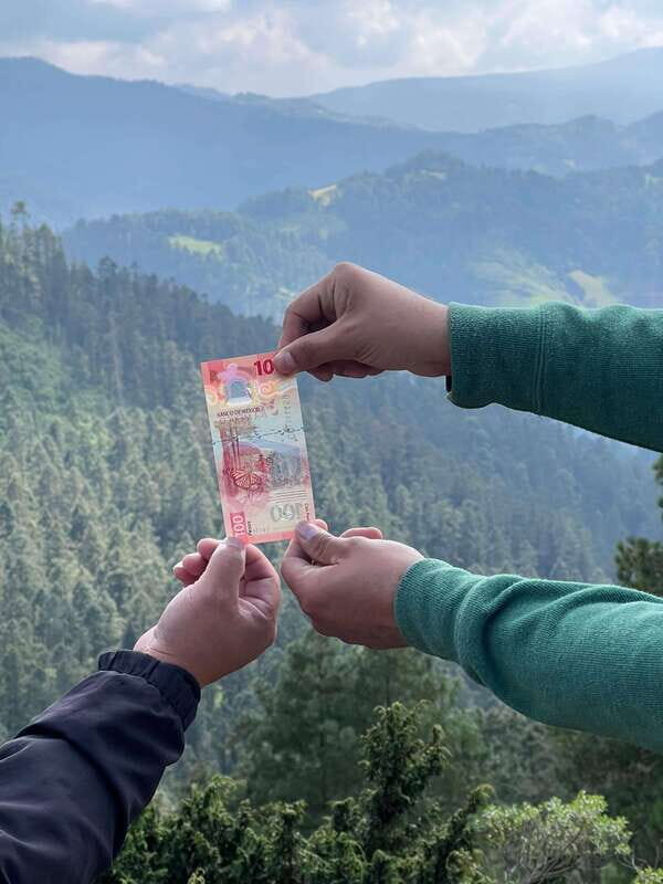 Mexico City: Monarch Butterfly Sanctuary Day Tour - The Experience in Detail