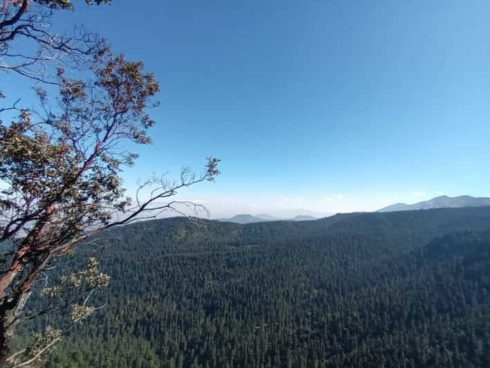 Mexico City: Morning Hiking at Mirador Coconetla - Itinerary Highlights