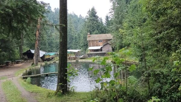 Mexico City: Morning Hiking at Mirador Coconetla - Rustic Dining Experience