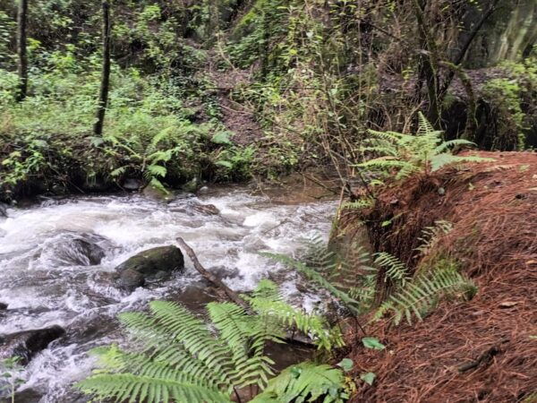 Mexico City: Morning Hiking at Mirador Coconetla - Frequently Asked Questions