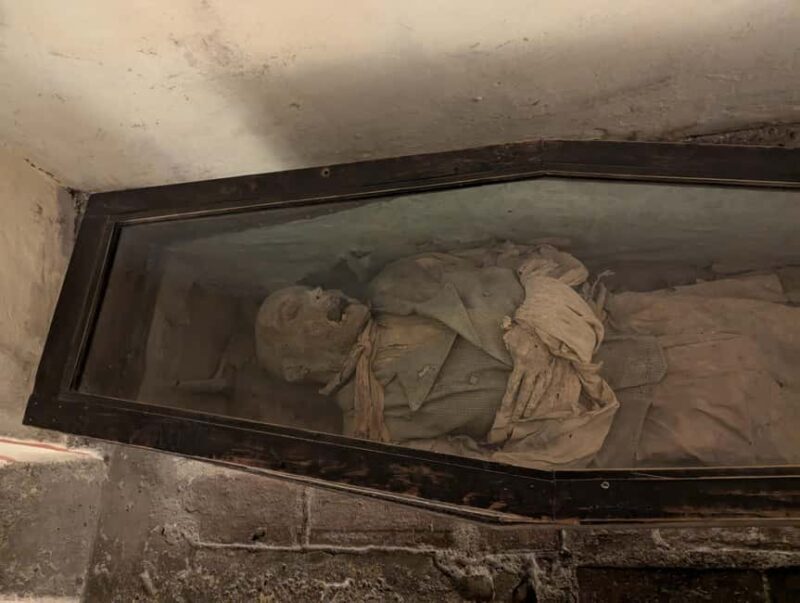 Mexico City: Museum of El Carmen Tour with Ticket - In-Depth Look at the Experience: What You’ll Love and What to Expect