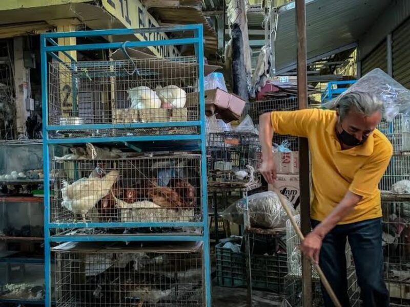 Mexico City: Mystic Markets La Merced & Sonora Culinary Tour - Authentic Food, Stories, and Hidden Gems