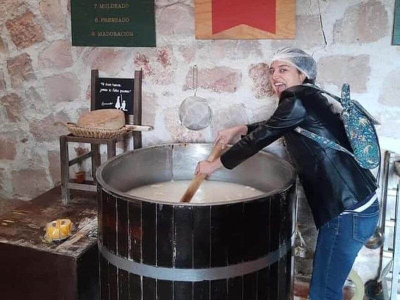 Mexico City: Private Cheese and Wine Tour to Queretaro - Authentic Experiences and Traveler Insights