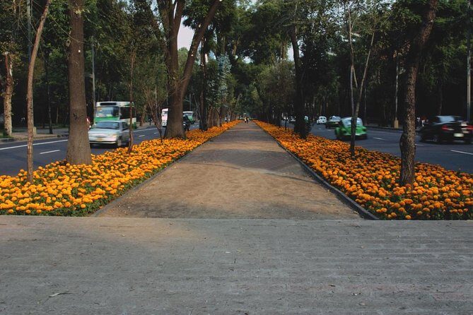 Mexico City PRIVATE Lucha Libre, mezcal & Tacos on a 1975 VW Bus - Exploring Mexico City with a Private Lucha Libre, Mezcal & Tacos Tour on a 1975 VW Bus