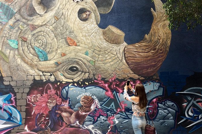 Mexico City Private Street Art Tour - Inclusions