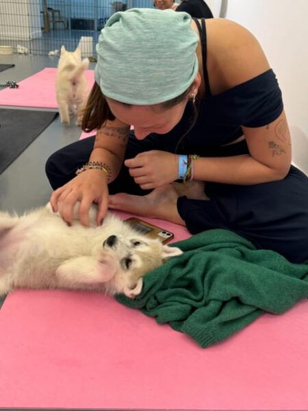 Mexico City: Puppy Yoga - Puppy Playtime