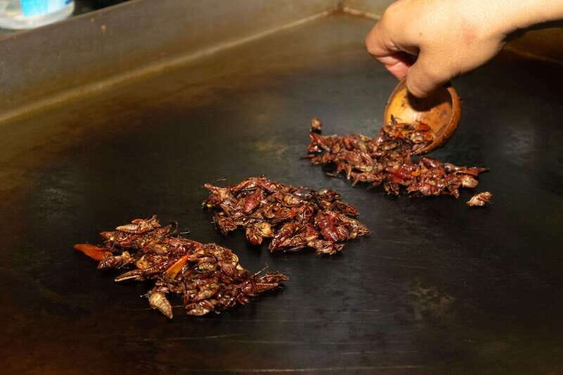 Mexico City: Street Food, Mole & Mezcal Small Group Tour - Frequently Asked Questions