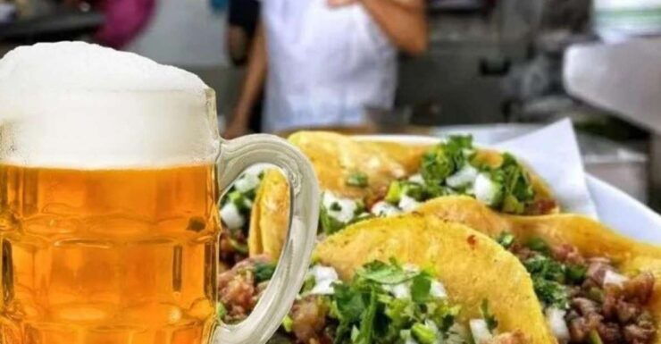 Mexico City: Taco and Beer Tour - Taquerias and Bars Visited