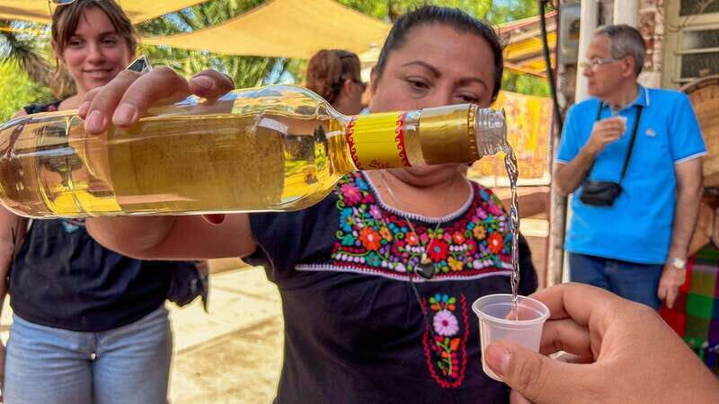 Mexico City: Teotihuacan Pyramids & Basilica of Guadalupe - FAQ