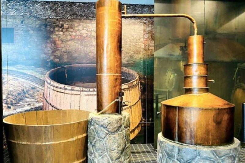 Mexico City: Tequila and Mezcal Museum Ticket with Tastings - A Close Look at the Mexico City Tequila and Mezcal Museum Tour