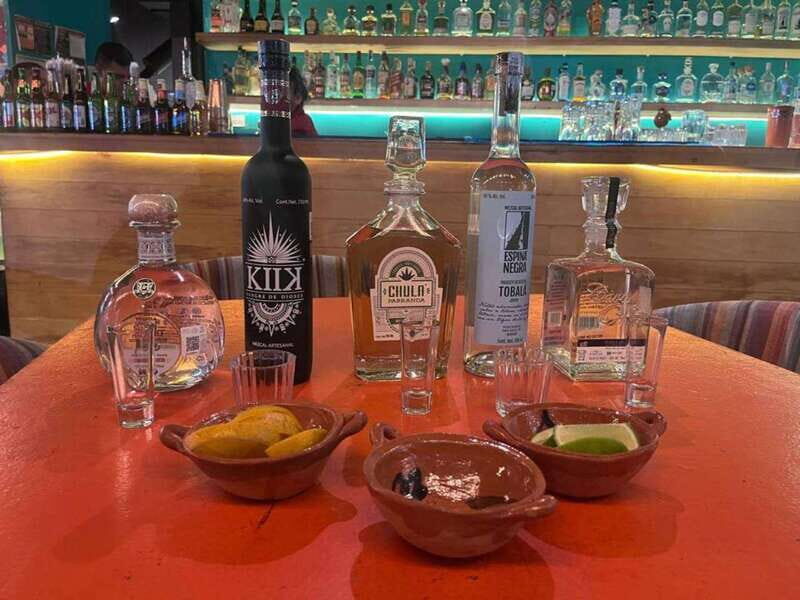 Mexico City: Tequila and Mezcal Museum Tour with Tasting - Good To Know