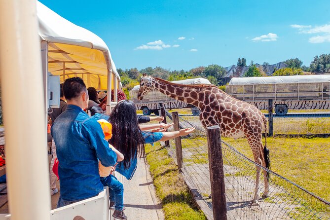 Mexico City to Teotihuacan Pyramids Kids Tour - The Sum Up